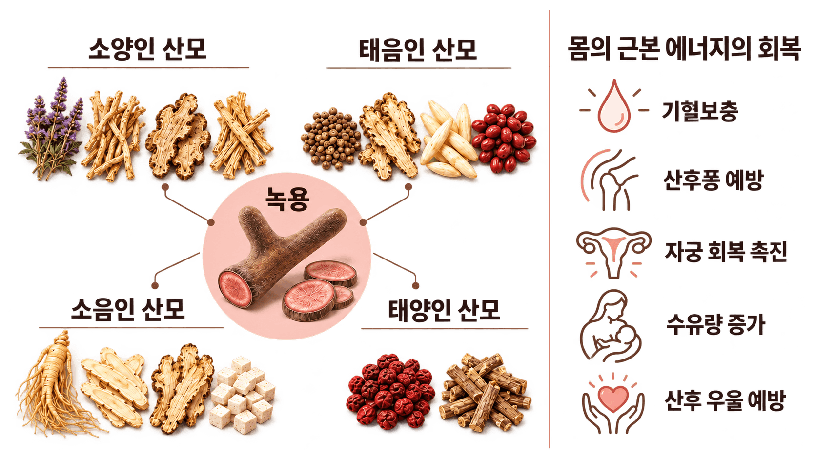 산후보약 안내 이미지